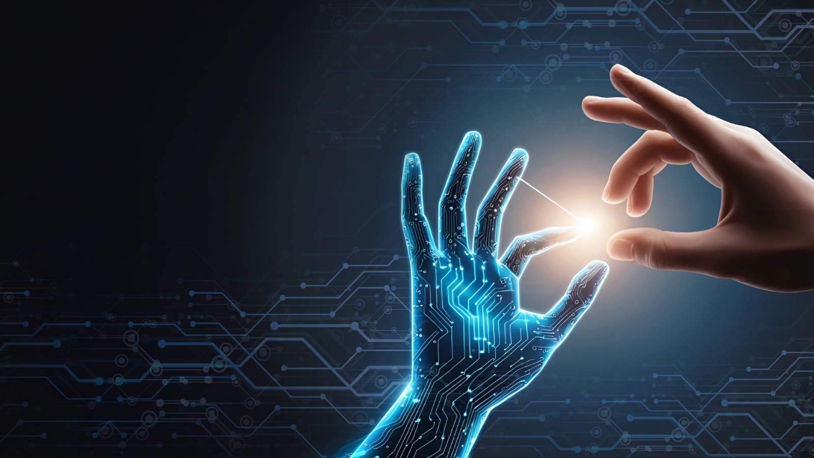 Customer Intelligence Platform